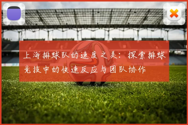 上海排球队的速度之美：探索排球竞技中的快速反应与团队协作