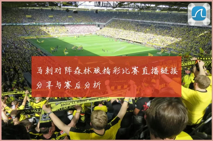 马刺对阵森林狼精彩比赛直播链接分享与赛后分析