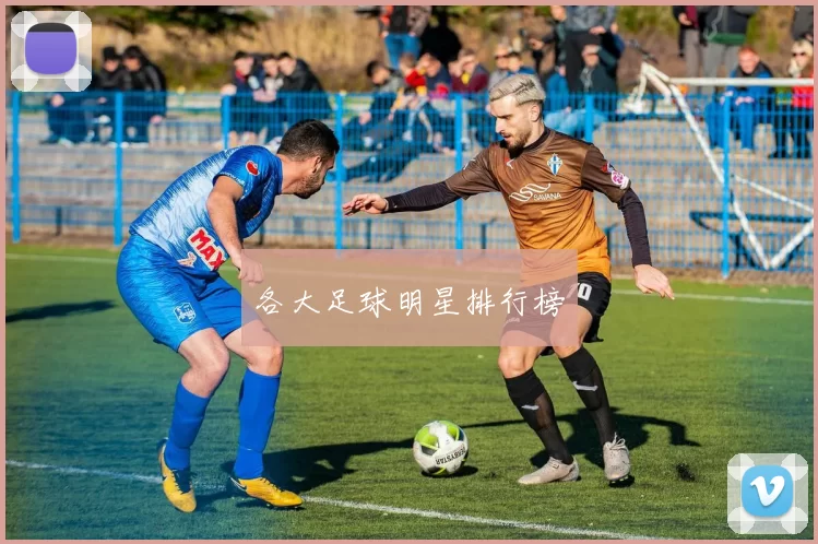 各大足球明星排行榜