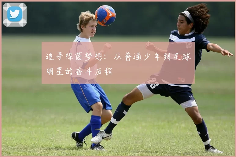 追寻绿茵梦想：从普通少年到足球明星的奋斗历程