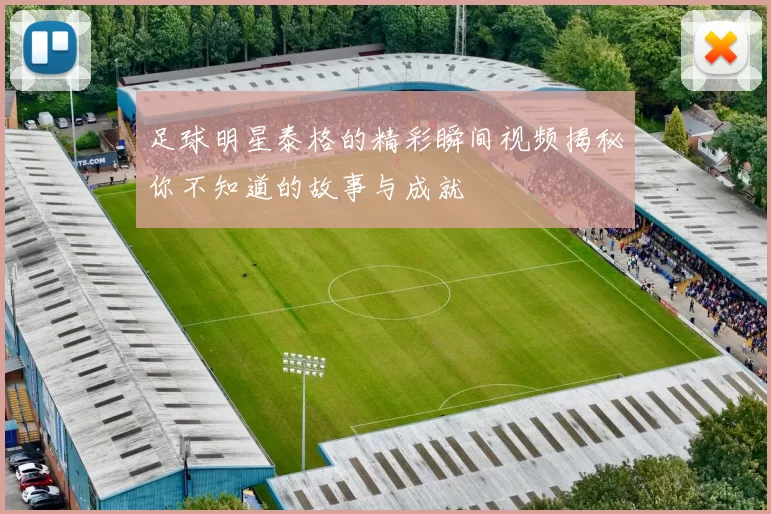 足球明星泰格的精彩瞬间视频揭秘你不知道的故事与成就