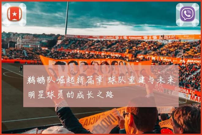 鹈鹕队崛起新篇章 球队重建与未来明星球员的成长之路