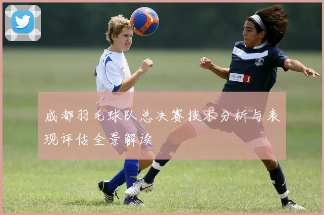 成都羽毛球队总决赛技术分析与表现评估全景解读
