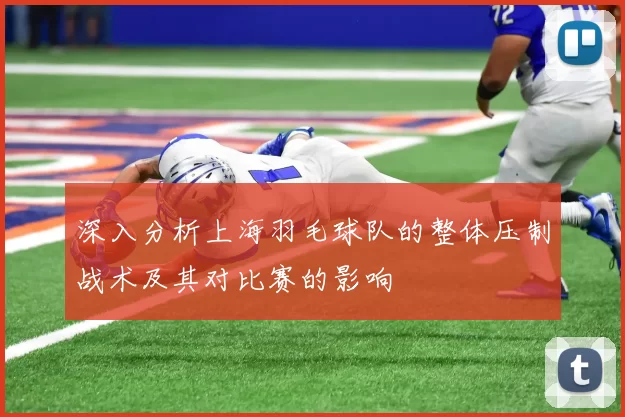 深入分析上海羽毛球队的整体压制战术及其对比赛的影响
