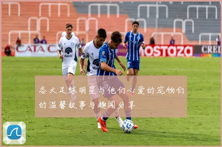 各大足球明星与他们心爱的宠物们的温馨故事与趣闻分享