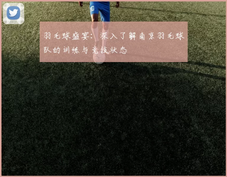 羽毛球盛宴：深入了解南京羽毛球队的训练与竞技状态