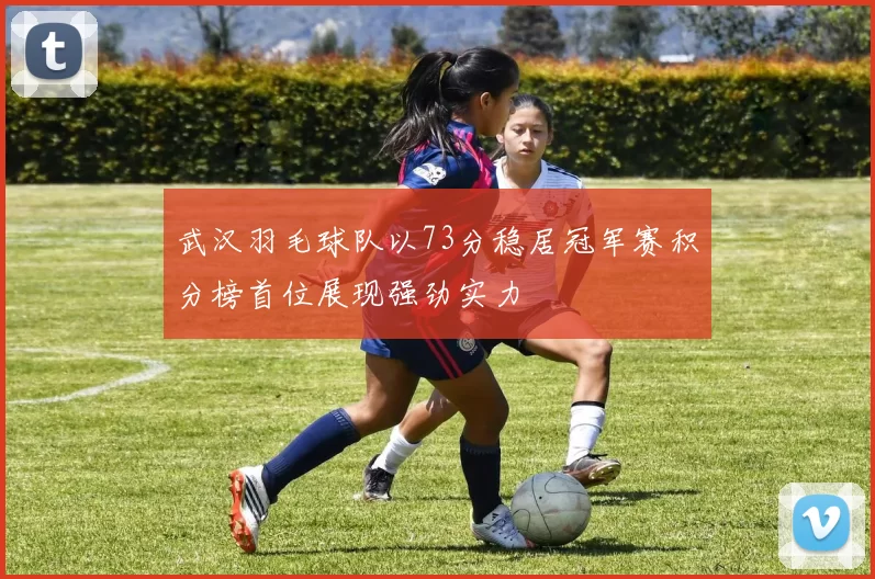 武汉羽毛球队以73分稳居冠军赛积分榜首位展现强劲实力