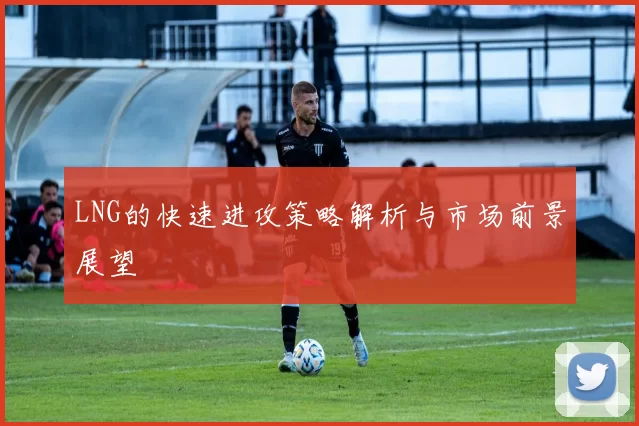 LNG的快速进攻策略解析与市场前景展望