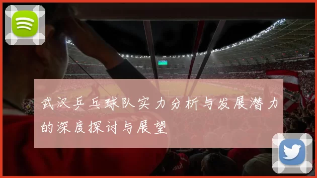 武汉乒乓球队实力分析与发展潜力的深度探讨与展望