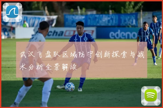 武汉飞盘队区域防守创新探索与战术分析全景解读