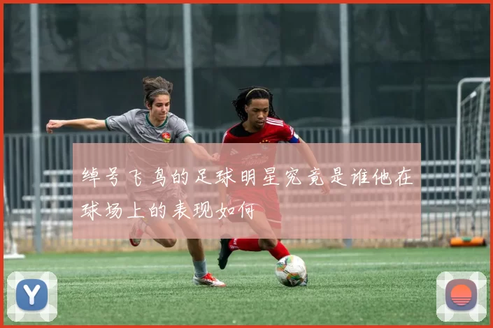 绰号飞鸟的足球明星究竟是谁他在球场上的表现如何