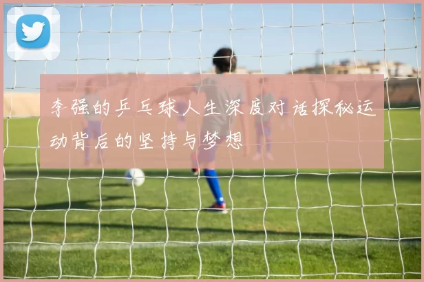 李强的乒乓球人生深度对话探秘运动背后的坚持与梦想
