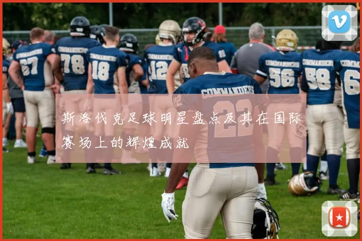 斯洛伐克足球明星盘点及其在国际赛场上的辉煌成就