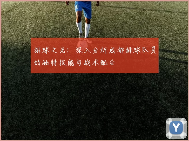 排球之光：深入分析成都排球队员的独特技能与战术配合