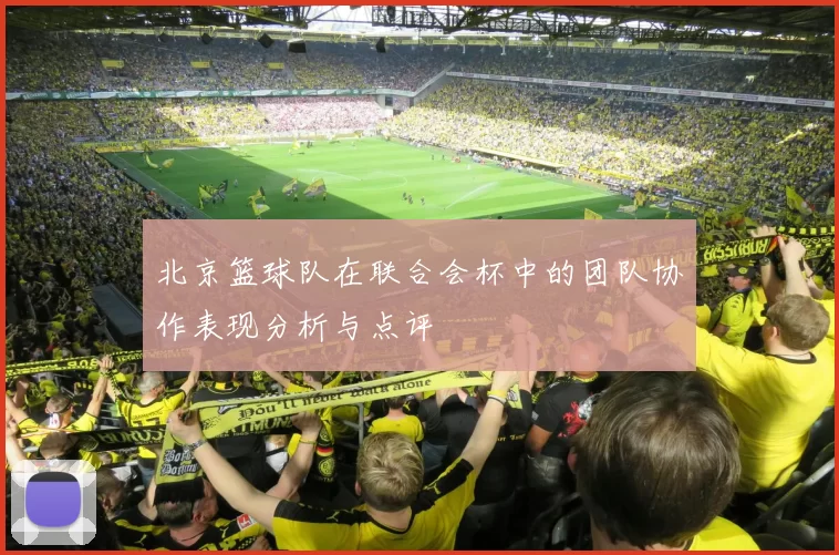 北京篮球队在联合会杯中的团队协作表现分析与点评