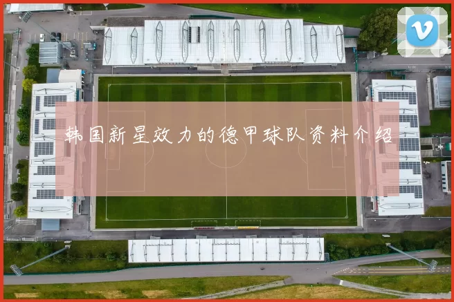 韩国新星效力的德甲球队资料介绍