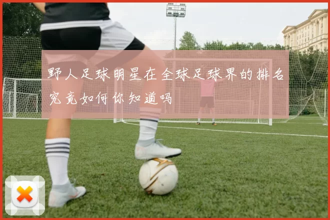 野人足球明星在全球足球界的排名究竟如何你知道吗