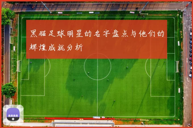 黑猫足球明星的名字盘点与他们的辉煌成就分析