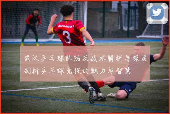 武汉乒乓球队防反战术解析与深度剖析乒乓球竞技的魅力与智慧