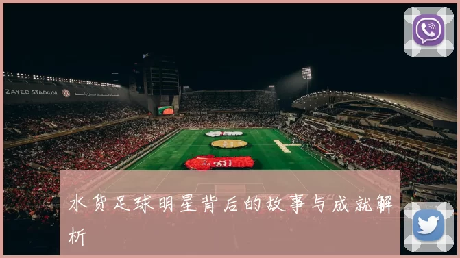水货足球明星背后的故事与成就解析