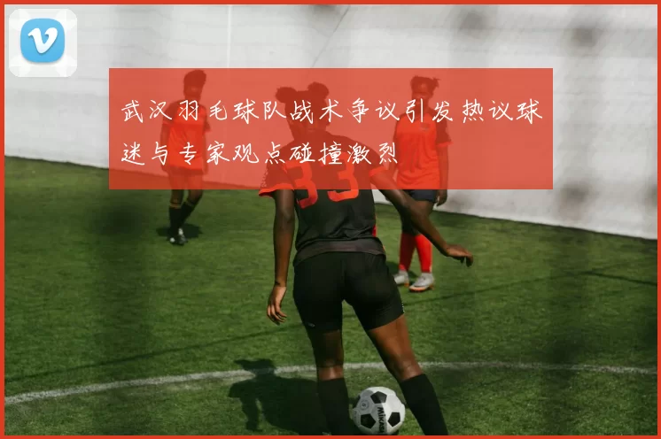 武汉羽毛球队战术争议引发热议球迷与专家观点碰撞激烈