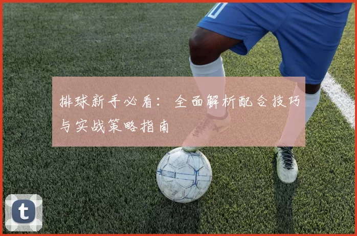 排球新手必看：全面解析配合技巧与实战策略指南