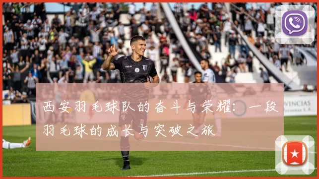 西安羽毛球队的奋斗与荣耀：一段羽毛球的成长与突破之旅