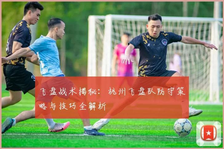 飞盘战术揭秘：杭州飞盘队防守策略与技巧全解析