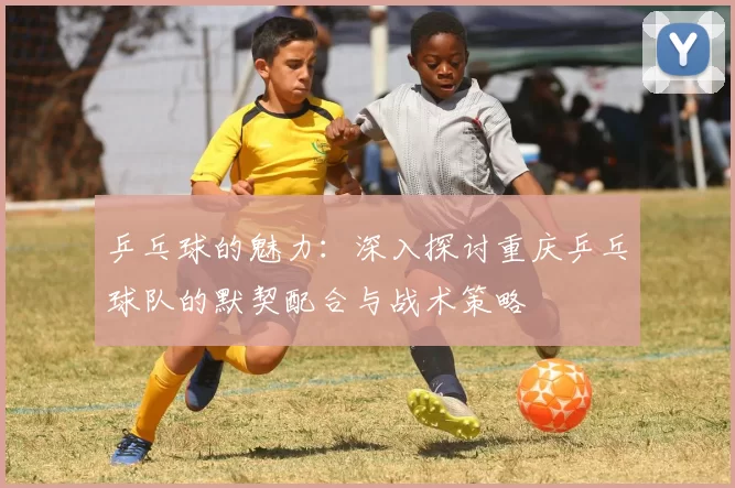 乒乓球的魅力：深入探讨重庆乒乓球队的默契配合与战术策略