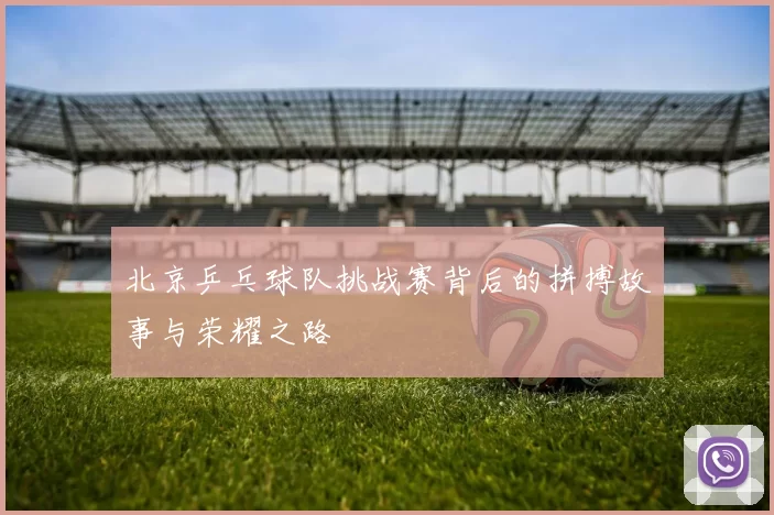 北京乒乓球队挑战赛背后的拼搏故事与荣耀之路