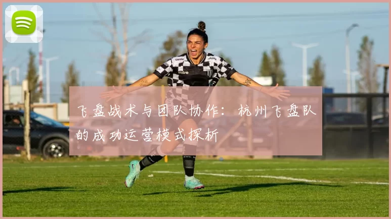 飞盘战术与团队协作：杭州飞盘队的成功运营模式探析