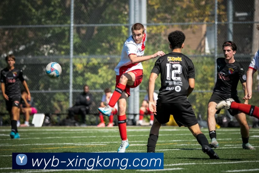 App Interface Preview