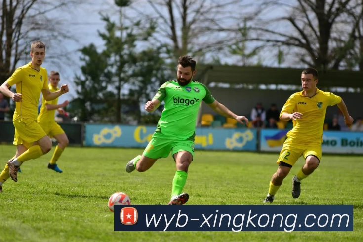 星空体育APP 封面图